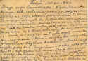 FLC_Thorn_1_2.jpg (76475 bytes)
